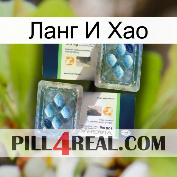 Ланг И Хао viagra5.jpg